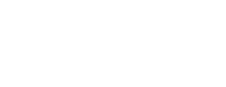 The Uzzle